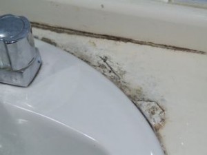 Mold in the bathroom in Cuenca apt