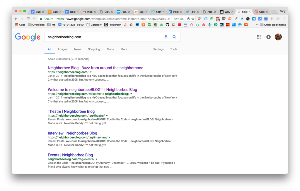Screenshot of Google Search Results for Neighborbeeblog.com