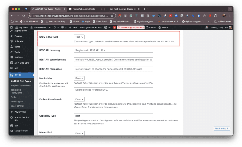 CPT UI Rest API True Setting